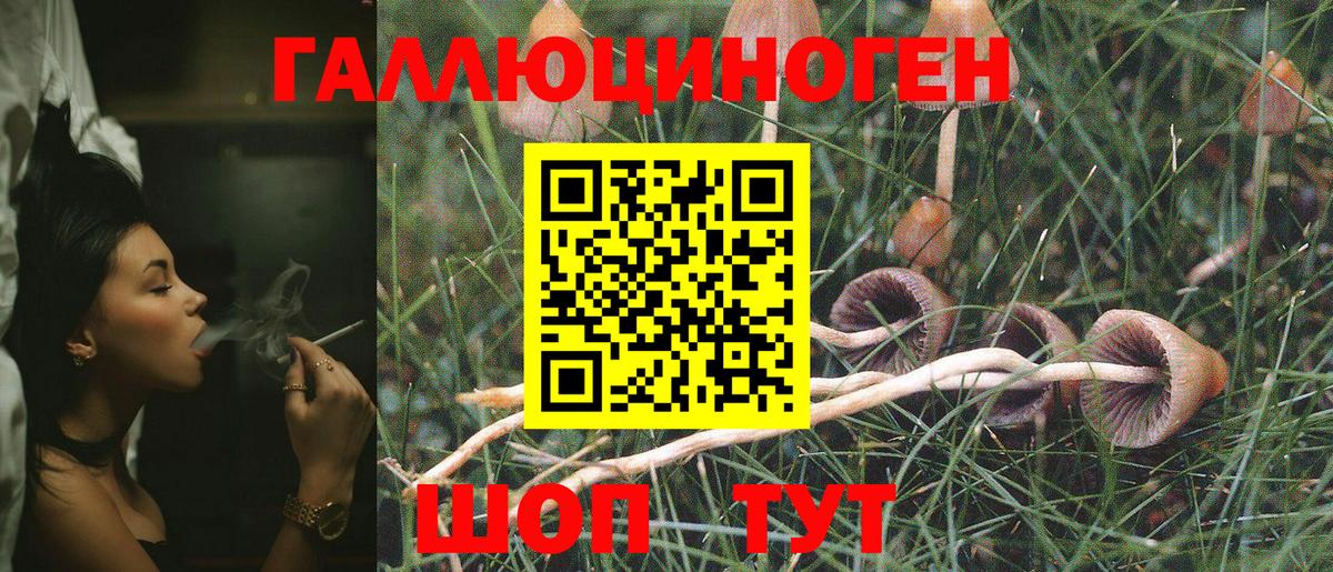 Галлюциногенные грибы Новочеркасск