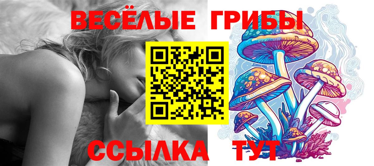 Псилоцибиновые грибы MAGIC MUSHROOMS Новочеркасск