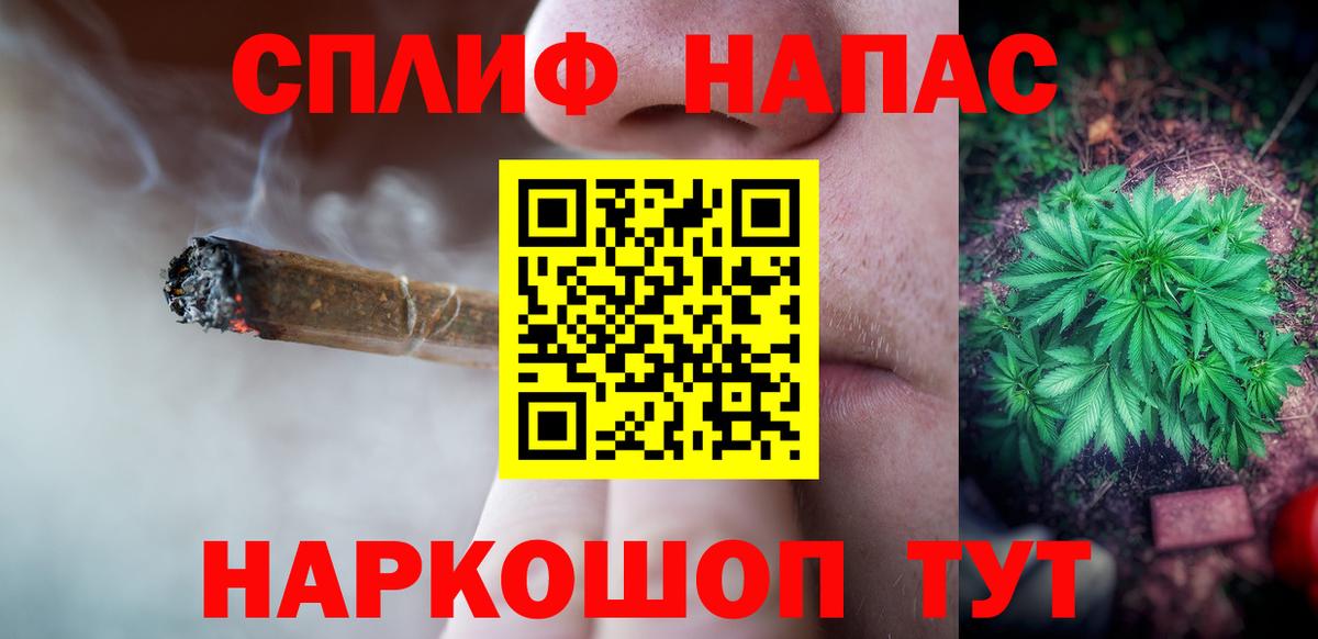 Канабис сатива Новочеркасск